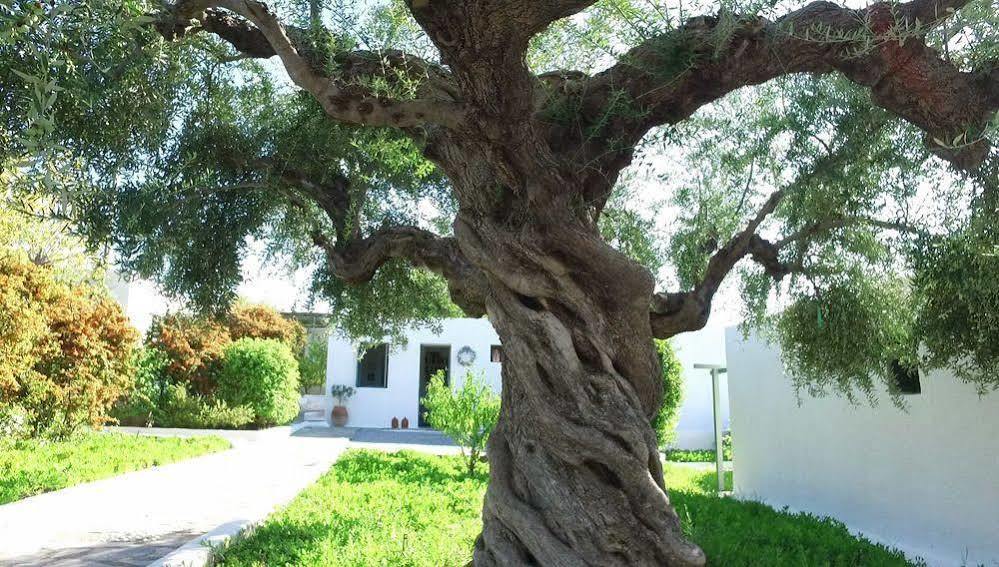 Niriides Villas Σελινίτσα Εξωτερικό φωτογραφία