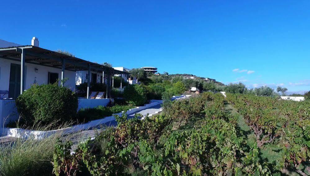 Niriides Villas Σελινίτσα Εξωτερικό φωτογραφία